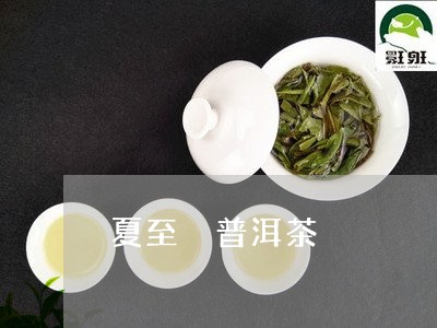 夏至 普洱茶/2023042800082